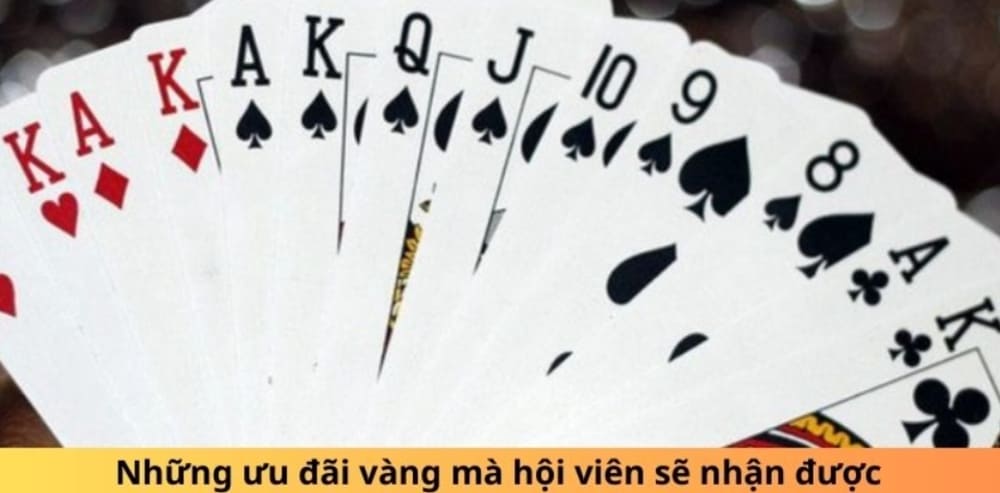 3. Mức thưởng và áp dụng